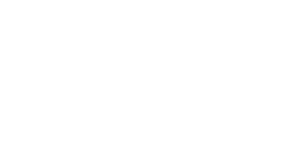ELSA POLAND Logo
